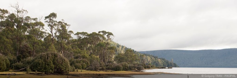20160225-Tasmania-LakeStClair-14-C.jpg