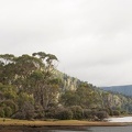 20160225-Tasmania-LakeStClair-14-C.jpg