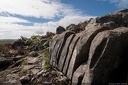 BurrenNP